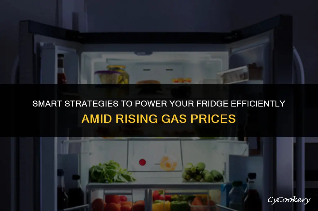 how to power a refrigerator cheaply gas prices
