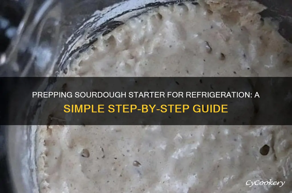 how to prep sourdough starter for refrigerate