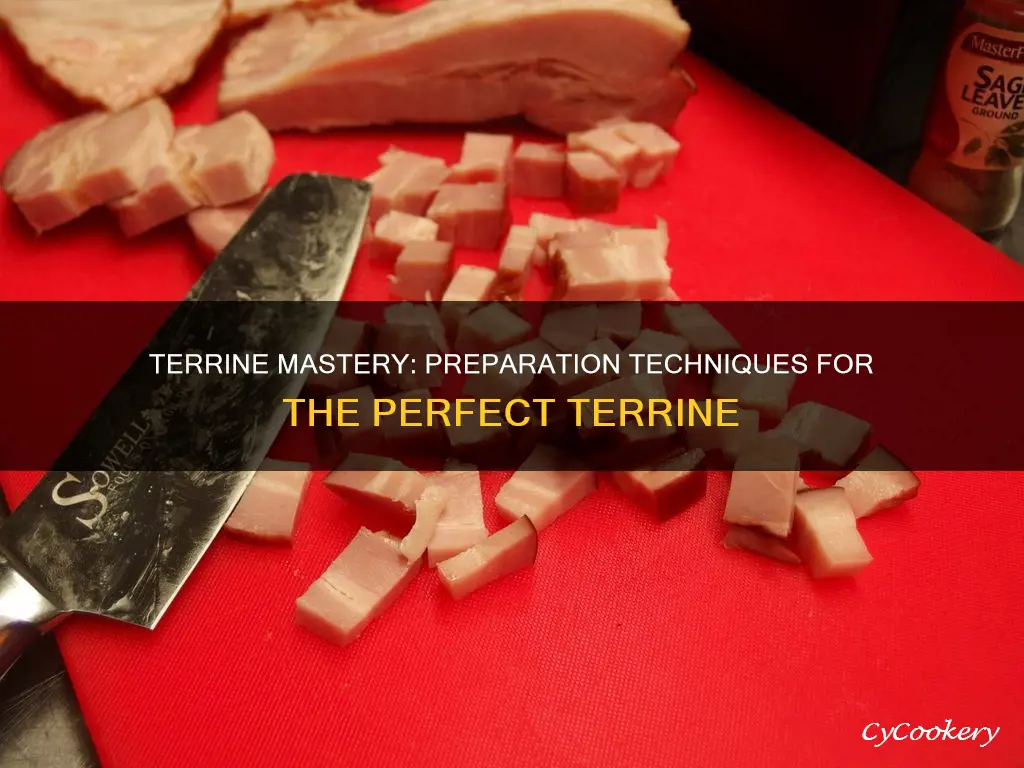 how to prepare a terrine