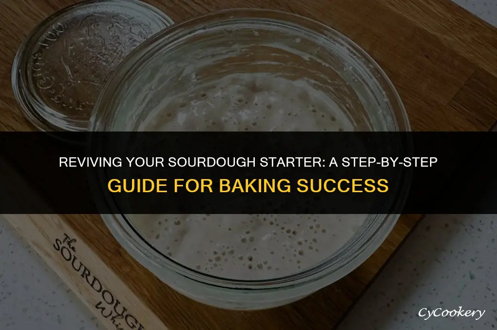 how to prepare refrigerated sourdough starter for baking