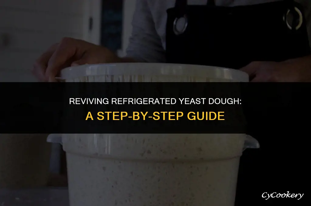 how to prepare yeast dough from the refrigerator