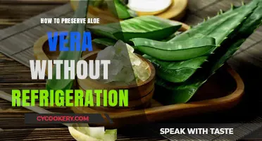 Effective Methods to Preserve Aloe Vera Without Refrigeration