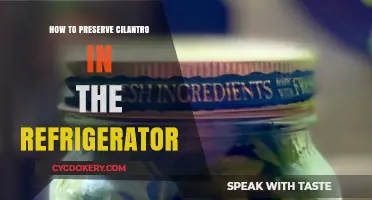Fresh Cilantro Longer: Easy Refrigerator Preservation Tips and Tricks