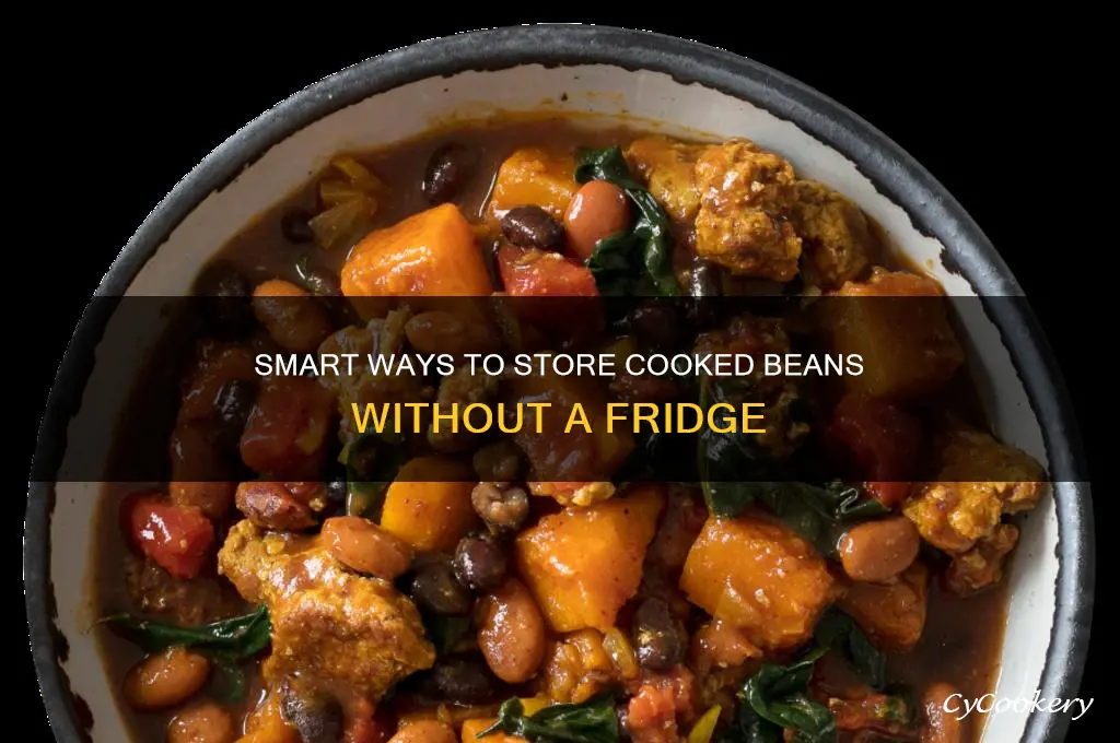 how to preserve cooked beans without refrigerator