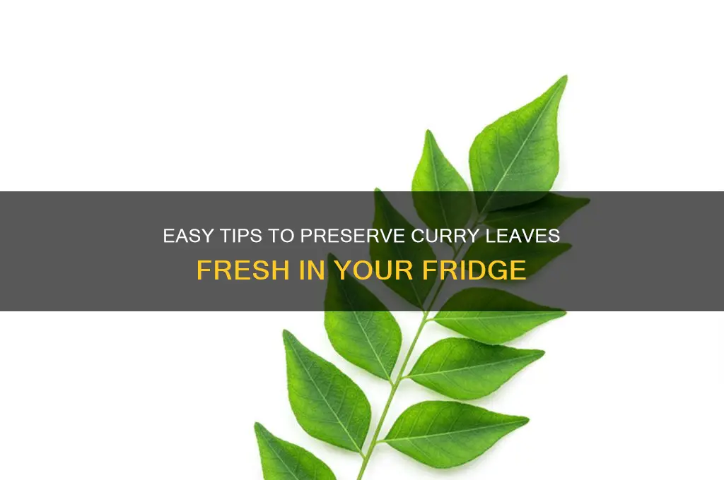 how to preserve curry leaves in refrigerator