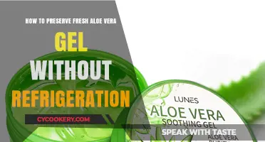 Natural Preservation: Keeping Aloe Vera Gel Fresh Without the Fridge