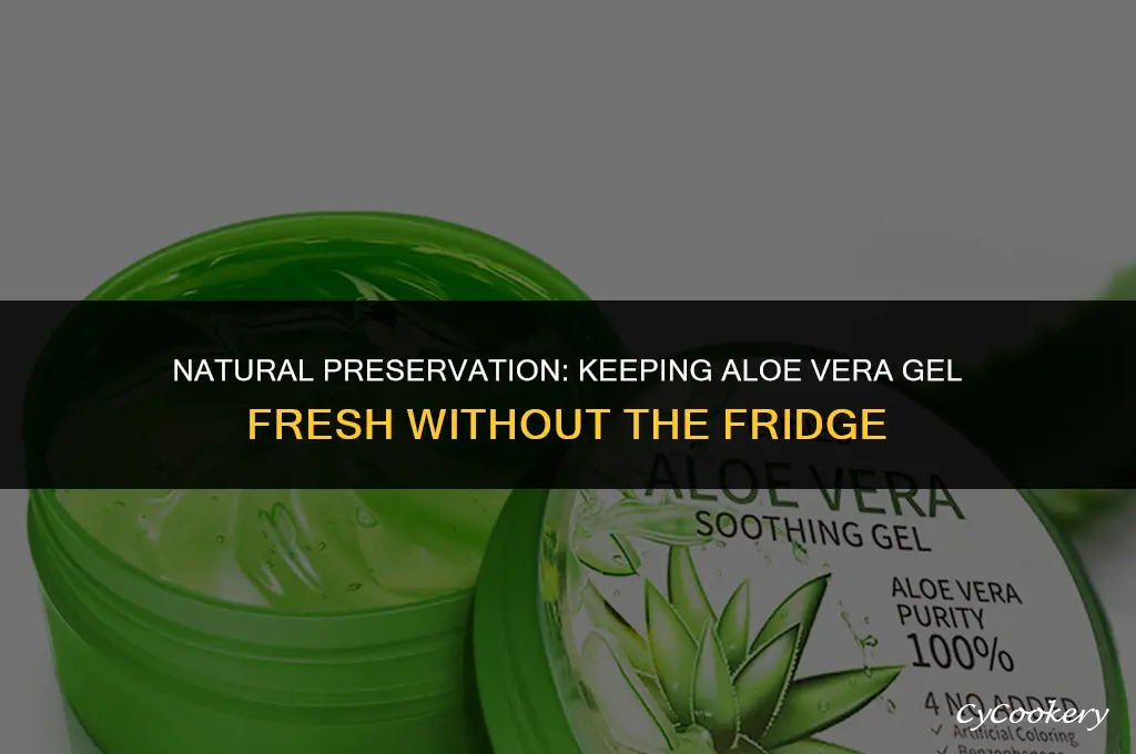 how to preserve fresh aloe vera gel without refrigeration
