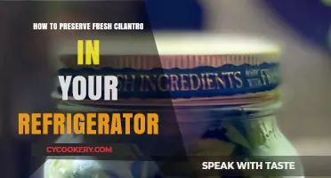 Keep Your Cilantro Fresh: A Simple Refrigeration Guide