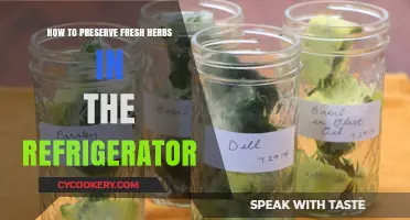 Easy Tips to Keep Fresh Herbs Longer in Your Fridge