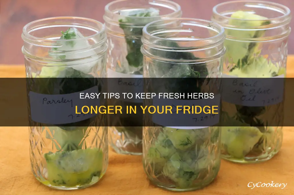 how to preserve fresh herbs in the refrigerator