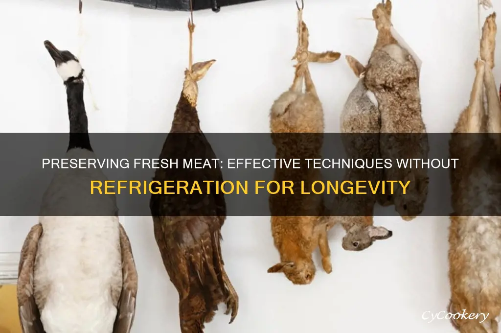how to preserve fresh meat without refrigeration
