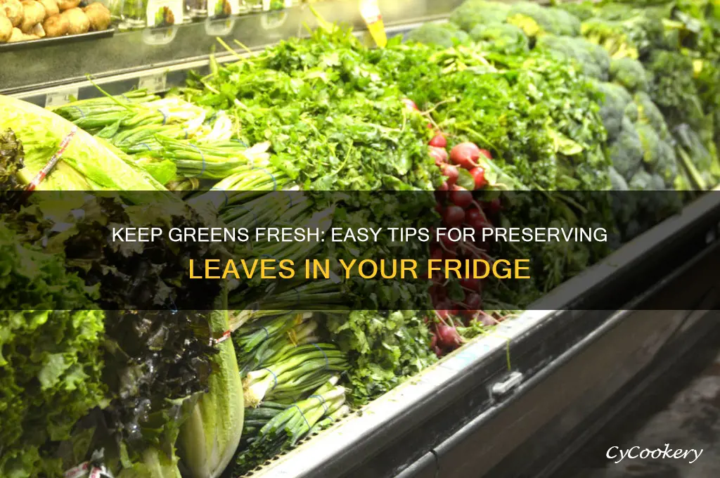 how to preserve green leaves in refrigerator