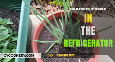 Freshness Preserved: The Ultimate Guide to Storing Green Onions