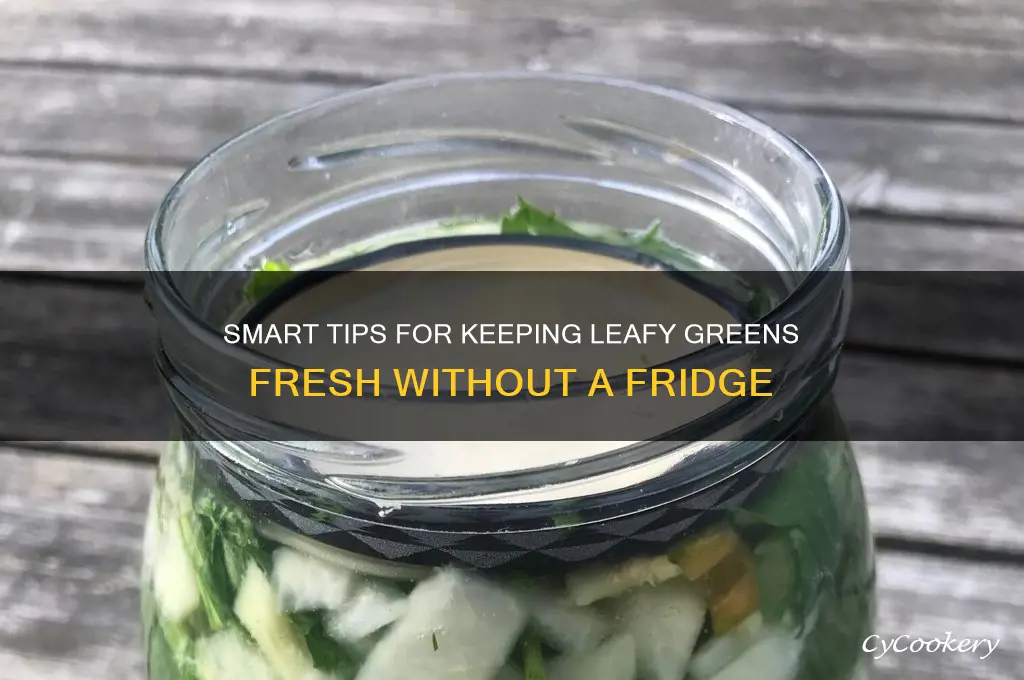 how to preserve leafy vegetables without refrigeration
