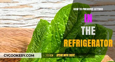 Keep Your Lettuce Fresh Longer: Easy Refrigerator Preservation Tips