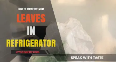 Fresh Mint All Year: Easy Refrigerator Preservation Tips and Tricks