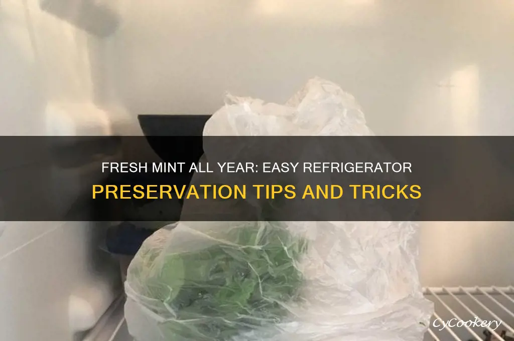 how to preserve mint leaves in refrigerator