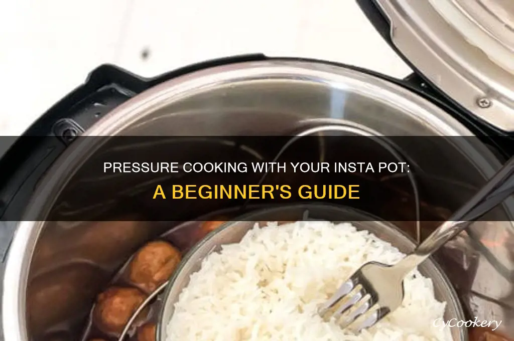 how to pressure cook in insta pot