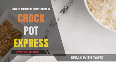 Pressure-Cooking Chicken Thighs in a Crock Pot Express