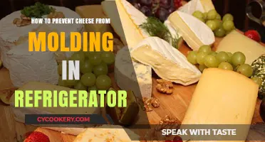 Cheese Preservation: Tips to Prevent Mold in the Fridge