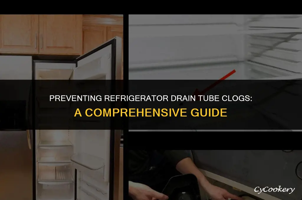 how to prevent drain tube in refrigerator from clogging
