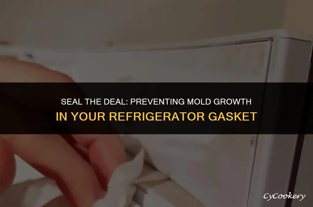 how to prevent mold from growing in refrigerator gasket