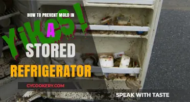 Fresh and Clean: Preventing Mold in Your Stored Refrigerator