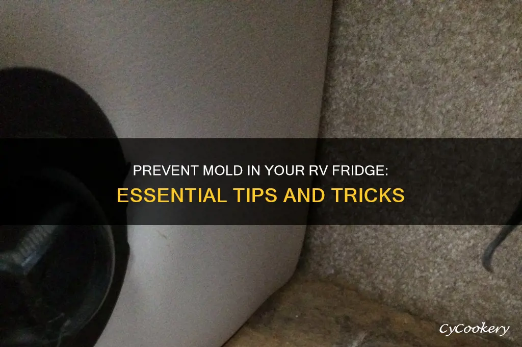 how to prevent mold in rv refrigerator