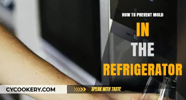 Effective Tips to Keep Your Fridge Mold-Free and Fresh