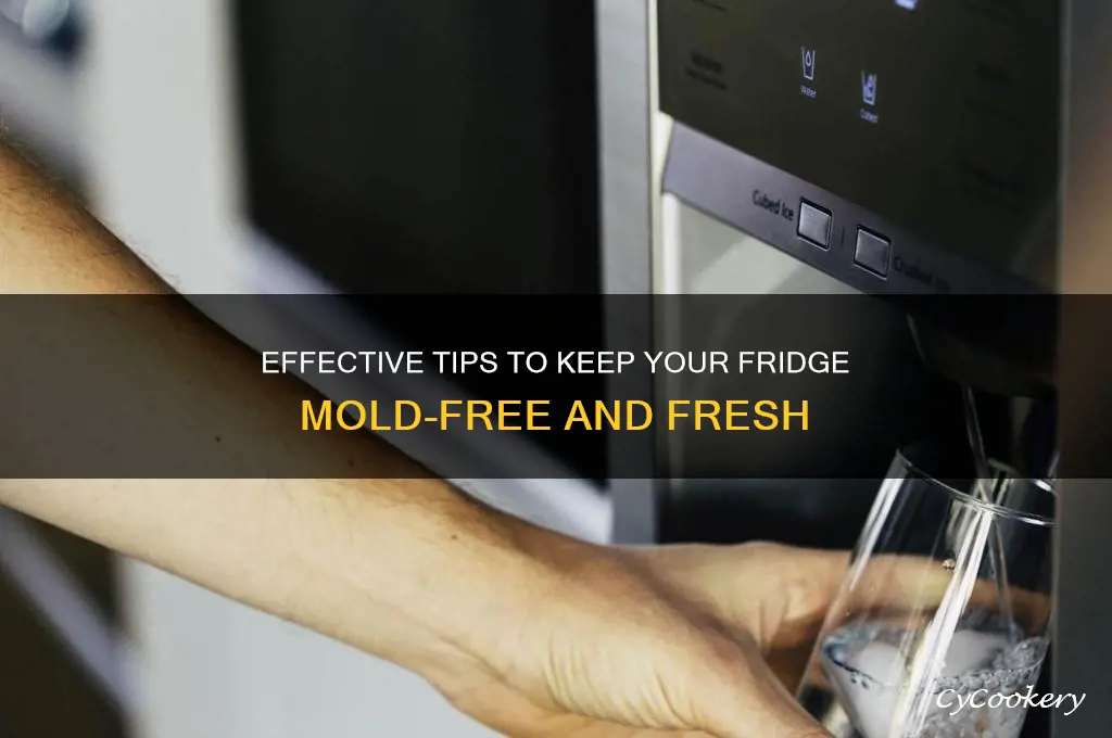 how to prevent mold in the refrigerator