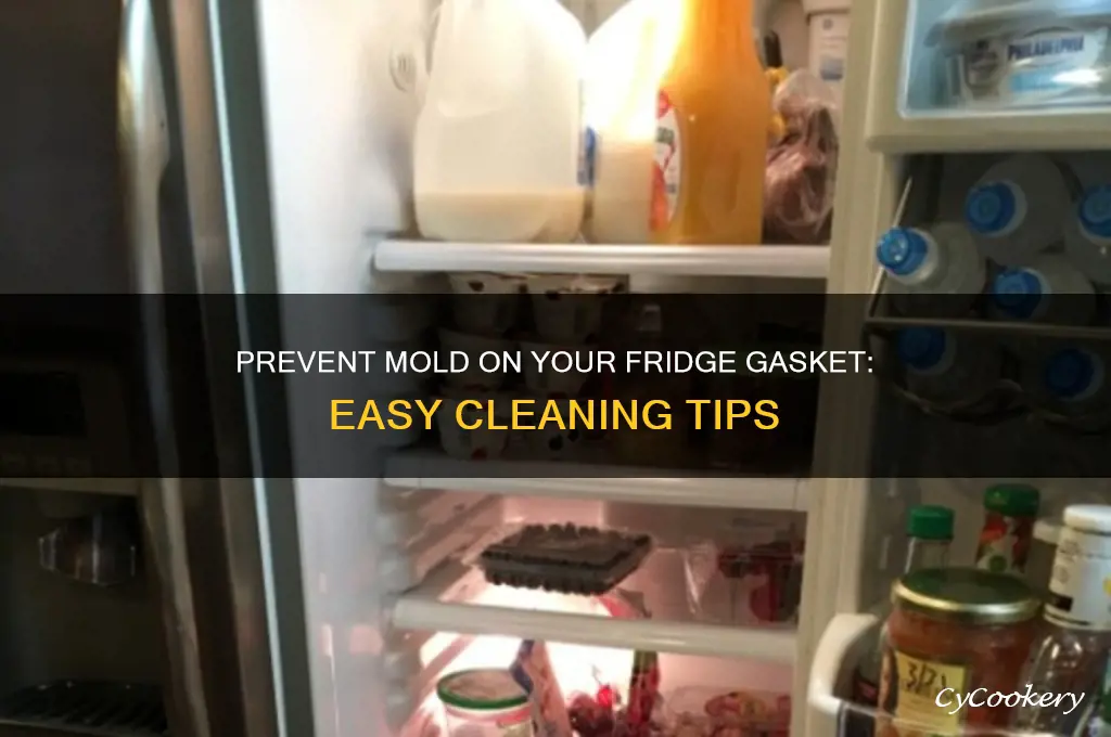 how to prevent mold on refrigerator gasket