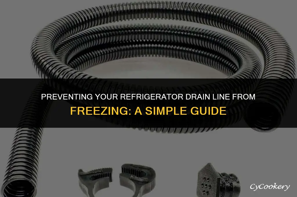 how to prevent refrigerator drain line from freezing
