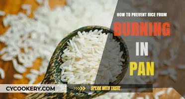 Preventing Rice From Burning: Tips for Perfectly Cooked Grains