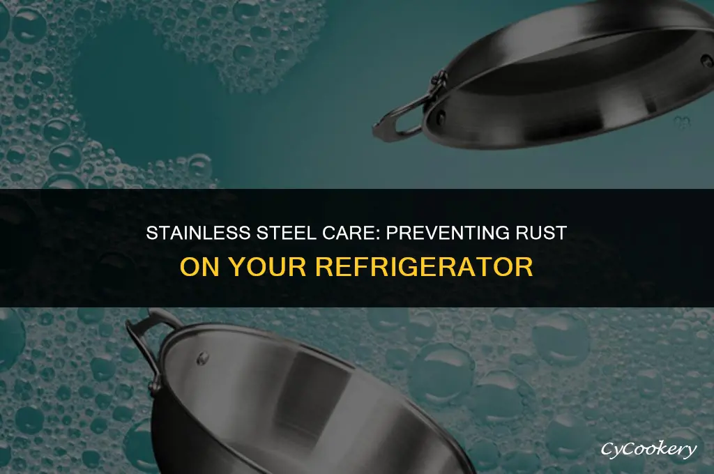 how to prevent rust on stainless steel refrigerator
