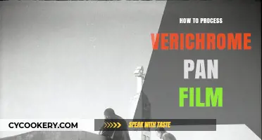 Processing Verichrome Pan Film: A Step-by-Step Guide