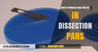 Mastering Wax Processing for Dissection Pans: A Step-by-Step Guide