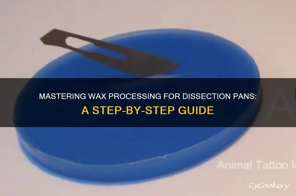 how to process wax for use in dissection pans