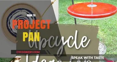 The Ultimate Guide to Project Pan Success