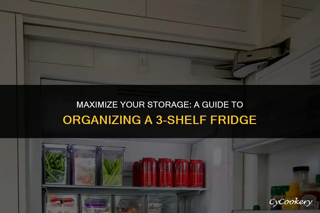 how to properly organize a 3 shelf refrigerator