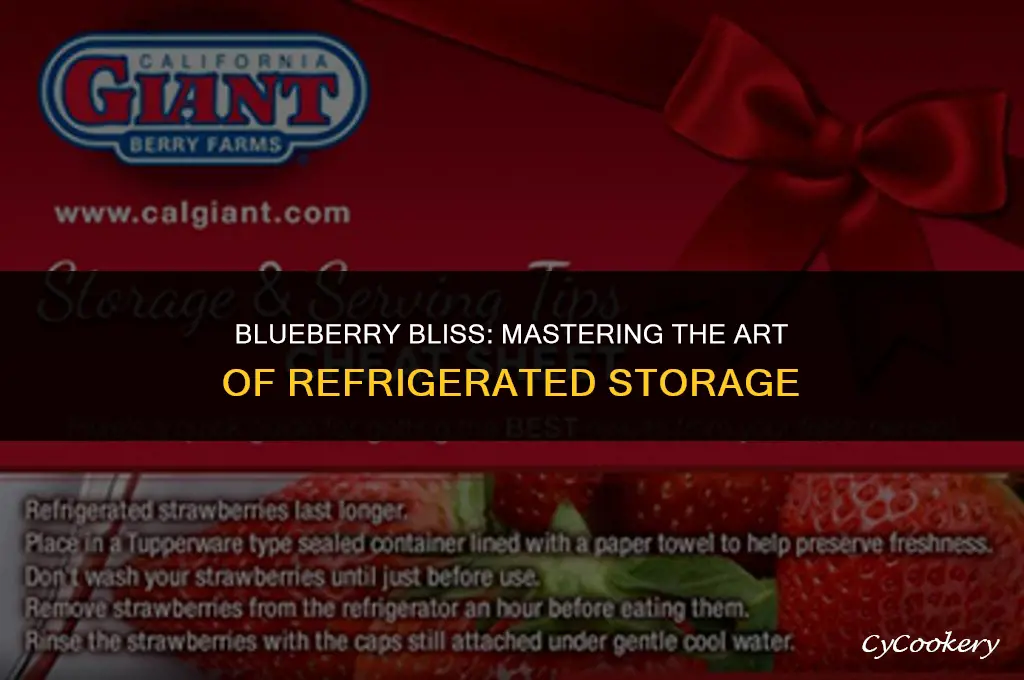 how to properly store blueberries in the refrigerator