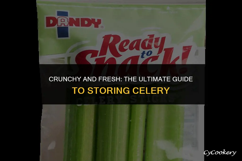 how to properly store celery in the refrigerator