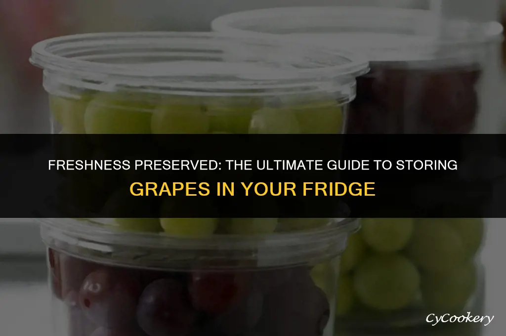 how to properly store grapes in the refrigerator