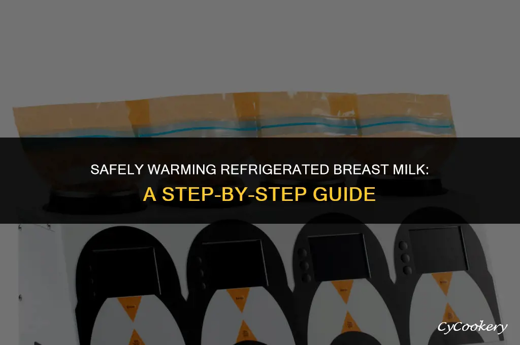 how to properly warm up refrigerated breast milk