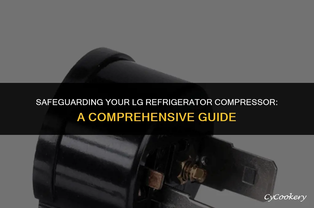how to protect lg refrigerator compressor from damage