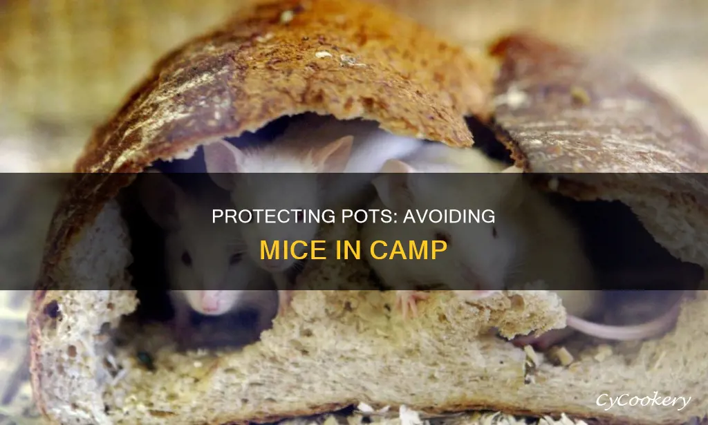 how to protect pots and pans in camp from mice