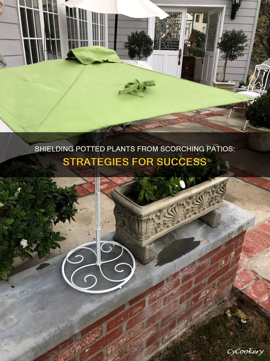 how to protect potted plants on hot patio