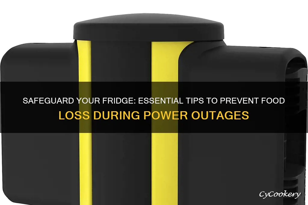 how to protect refrigerator from power outage