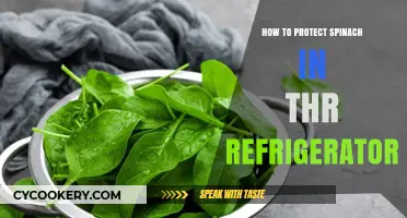 Keep Spinach Fresh Longer: Refrigeration Tips for Crisp, Green Leaves