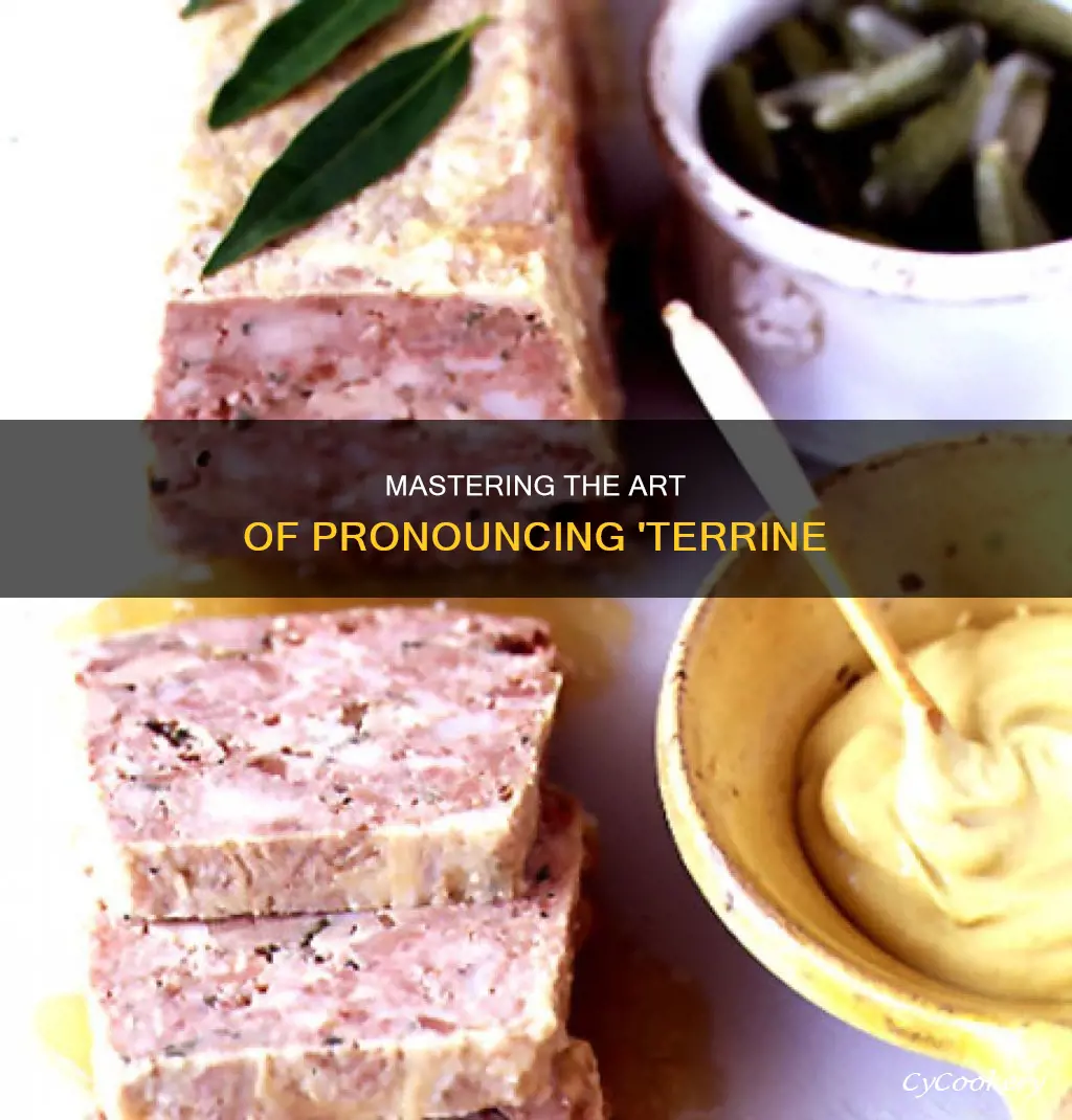 how to prounce terrine