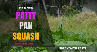 Pruning Patty Pan Squash: Tips for Healthy Growth
